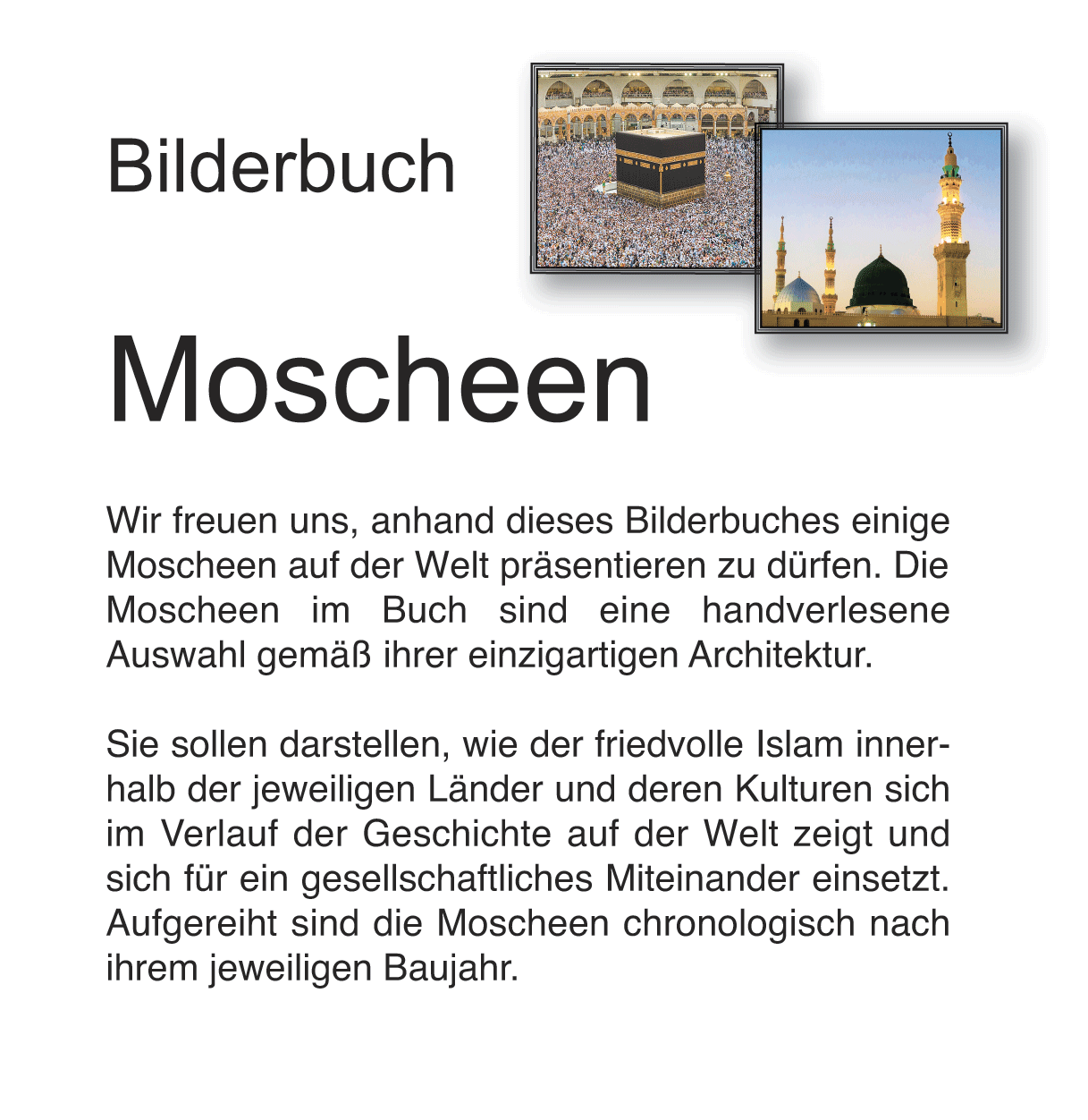 Bilderbuch Moscheen als E-Book